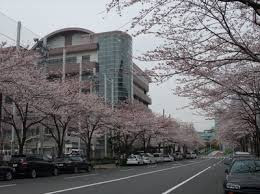 中学校　中央区立晴海中学校（中学校）まで750m