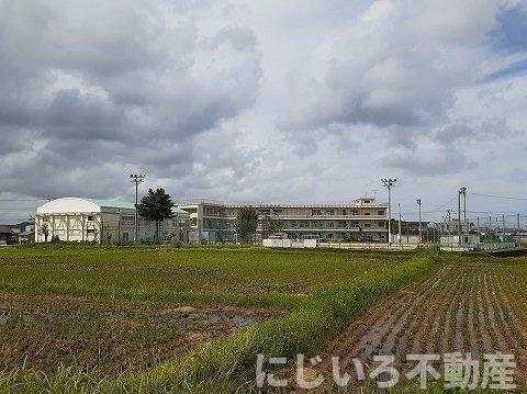 その他　新開小学校まで800m