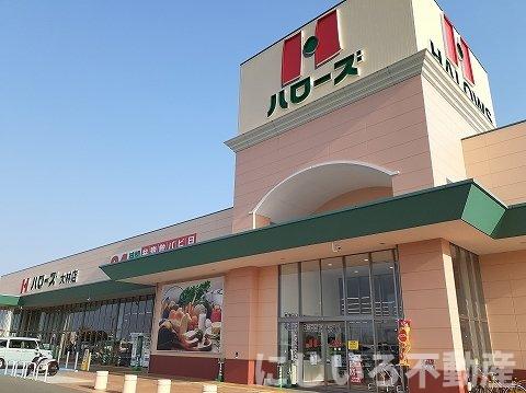 その他　ハローズ大林店様まで800m