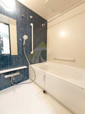 バス・シャワールーム　ベルファース上野