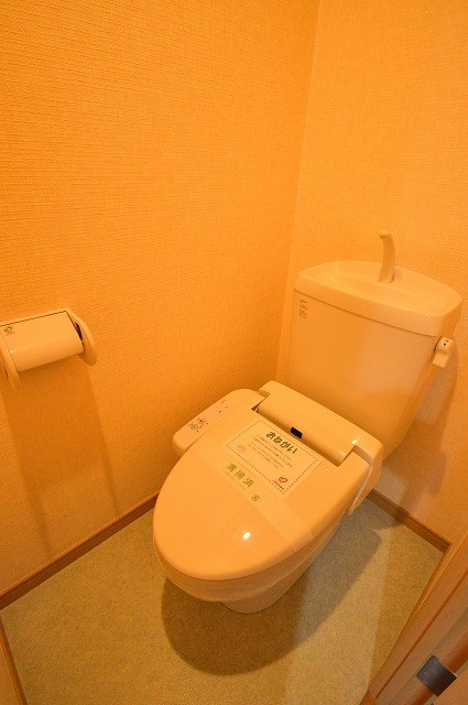 トイレ　写真は別号室です。