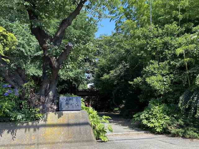 その他　泉竜寺（その他）まで617m