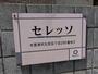 その他　その他