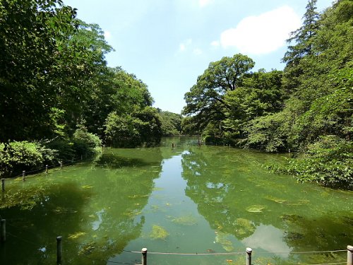 公園　井の頭公園（公園）まで957m