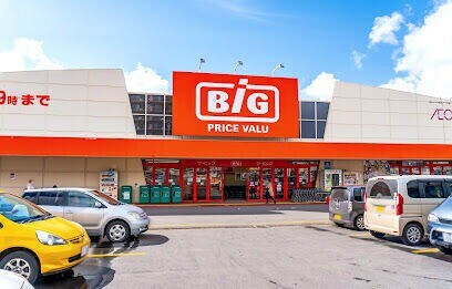 ショッピングセンター　ザ・ビッグ西岡店（ショッピングセンター）まで400m