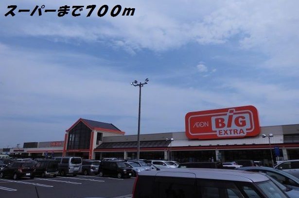 スーパー　ザ・ビッグ（スーパー）まで700m