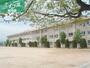 小学校　倉敷市立中島小学校（小学校）まで810m