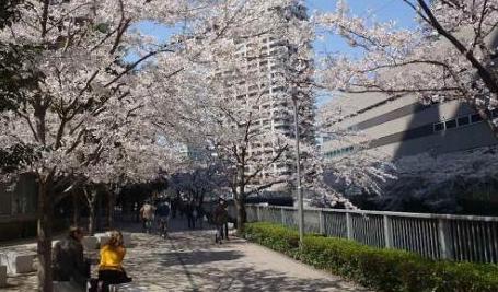 公園　亀の甲緑地（公園）まで288m