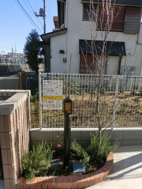 庭　お洒落な植栽で雰囲気も良いです