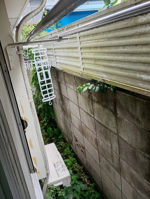 眺望　眺望