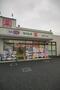 ドラックストア　ドラッグセイムス板橋中台店（ドラッグストア）まで520m