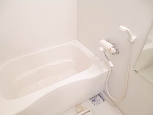 バス・シャワールーム　※同タイプの部屋写真です