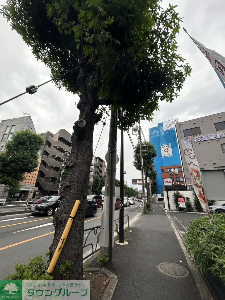 眺望