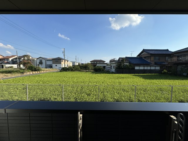 眺望