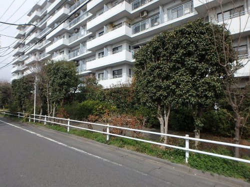 公園　小茂根三丁目緑地（公園）まで405m