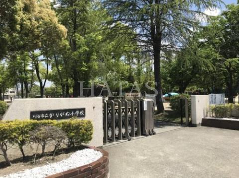 小学校　刈谷市立かりがね小学校（小学校）まで700m