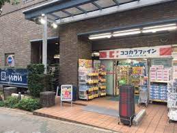 ドラックストア　ココカラファイン 神楽坂中里町店（ドラッグストア）まで690m