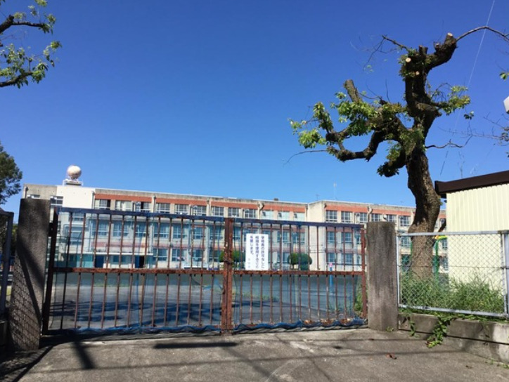 小学校　名古屋市立村雲小学校（小学校）まで320m