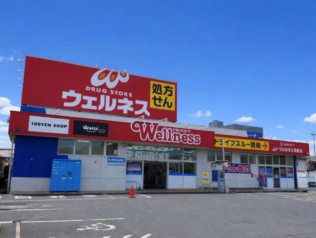 ドラックストア　ウェルネス角盤店（ドラッグストア）まで800m