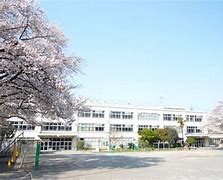 小学校　杉並区立八成小学校（小学校）まで223m
