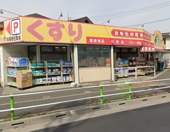 ドラックストア　どらっぐぱぱす板橋徳丸店（ドラッグストア）まで880m