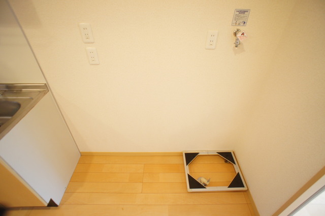 その他　洗濯機置き場は室内にあるので雨に濡れる心配はありません。