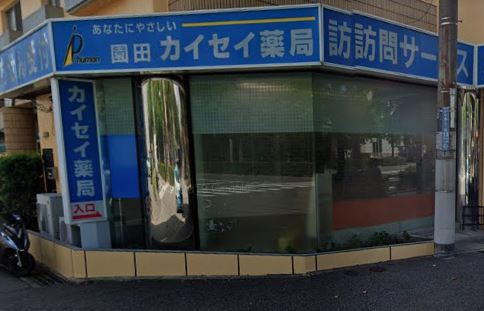 ドラックストア　園田カイセイ薬局（ドラッグストア）まで248m