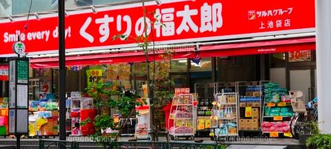 ドラックストア　くすりの福太郎上池袋店（ドラッグストア）まで724m