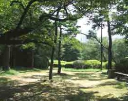 公園　哲学堂公園（公園）まで819m