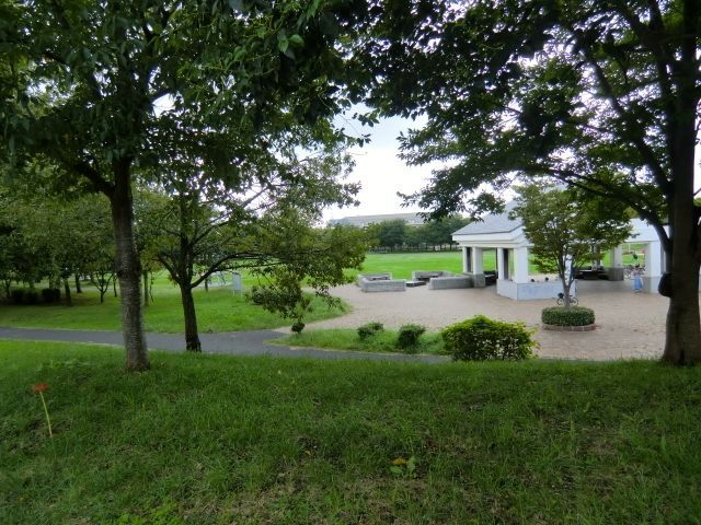 公園　野田山崎公園（公園）まで698m