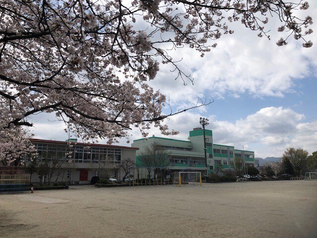 小学校　小川町立小川小学校（小学校）まで1192m