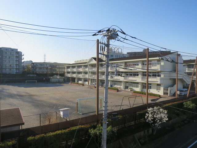 小学校　茅ヶ崎台小学校（小学校）まで250m