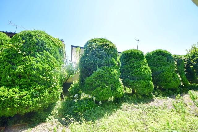 パサージュ砧のその他写真