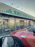 スーパー　JA茨城むつみ 農産物直売所総和店（スーパー）まで897m