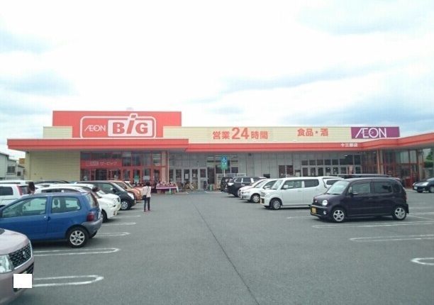 スーパー　ザ・ビッグ十三部店（スーパー）まで870m
