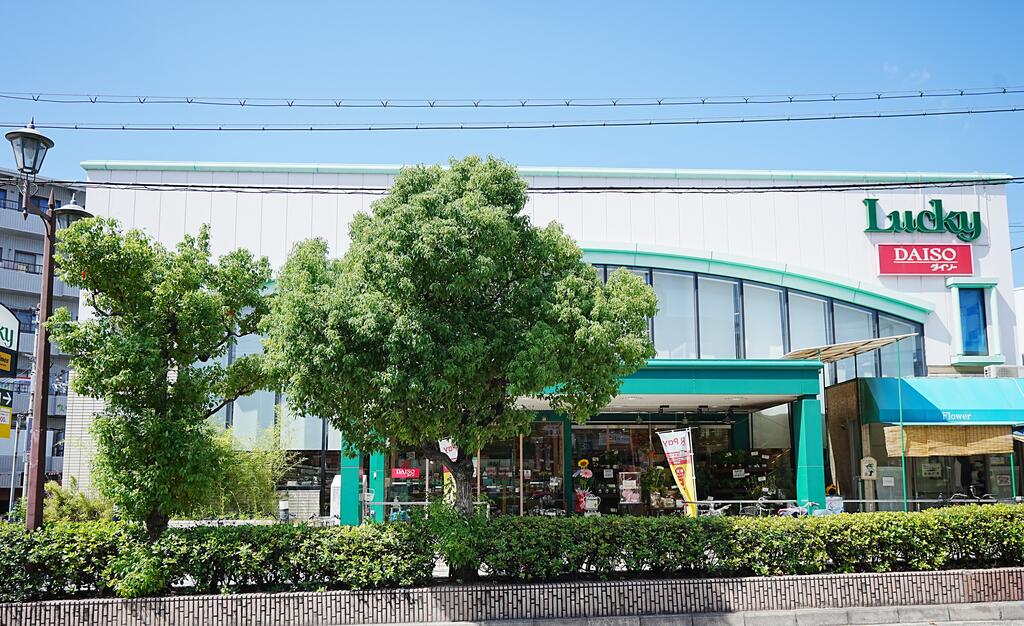 駅近 リノベ 敷礼 0 陽当たり抜群の周辺写真