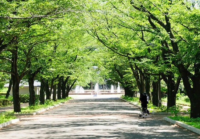 公園　府中の森公園（公園）まで1000m