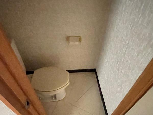 ロイヤルトーン松原のトイレ写真