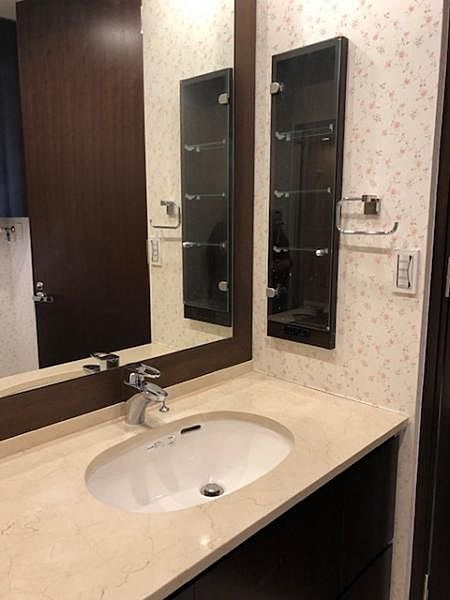 洗面設備　別タイプ部屋　参考写真です