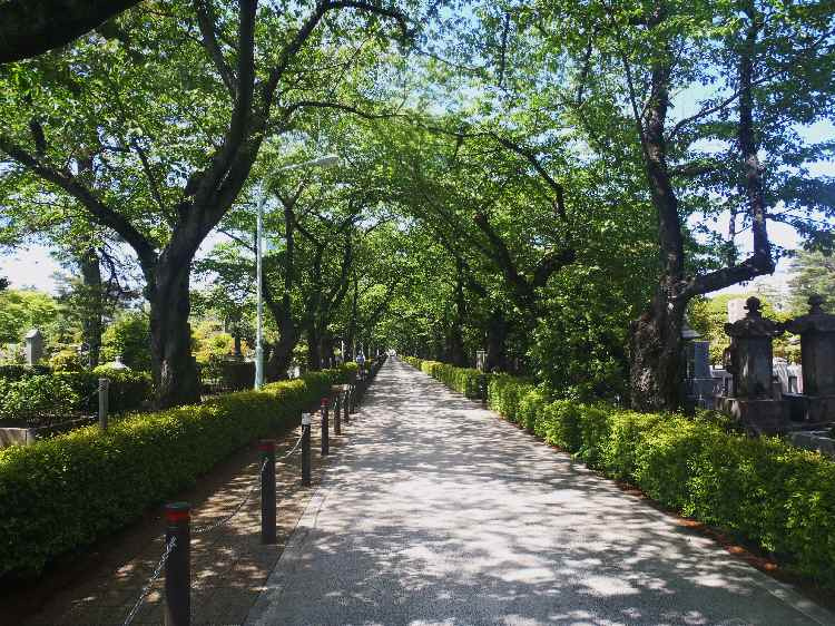 【Sウィズ原宿レジデンスの公園】