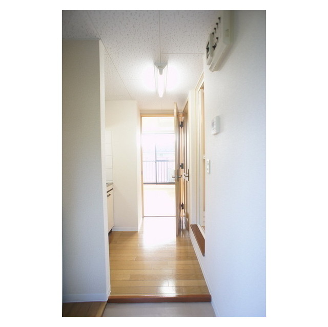 玄関　玄関から続くキッチンスペース