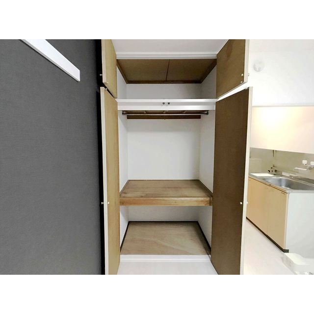 収納　内装もきれいです