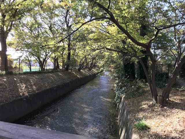 その他　玉川上水（その他）まで486m