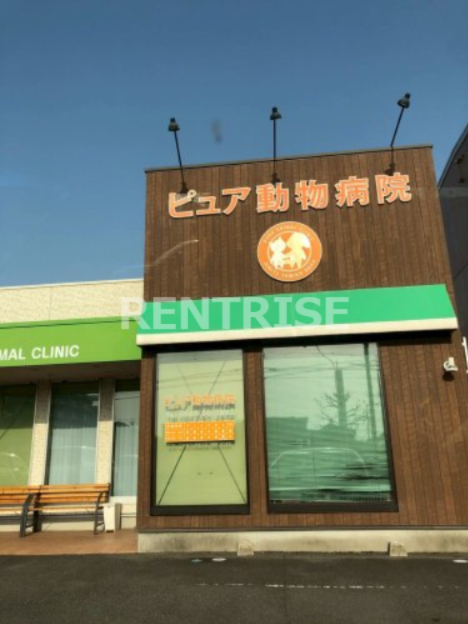 病院　ピュア動物病院（病院）まで282m