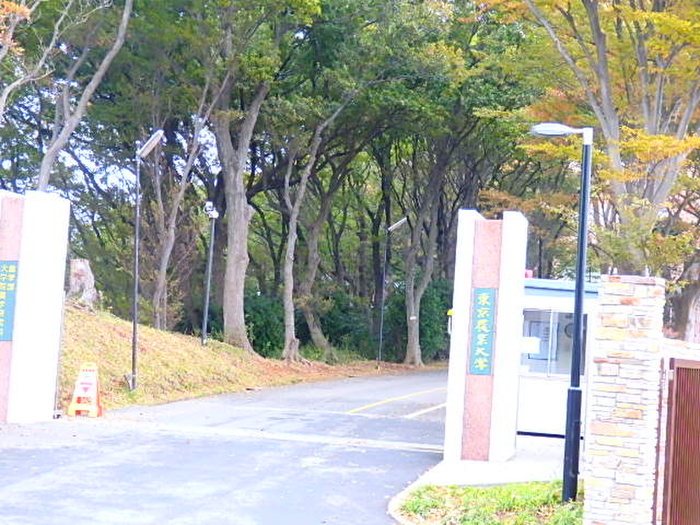 大学・短大　東京農業大学（大学・短大）まで545m