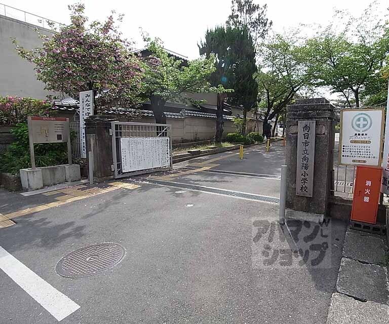 小学校　向陽小学校（小学校）まで400m