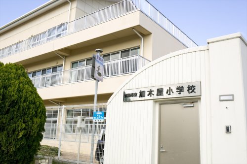 小学校　東海市立加木屋小学校（小学校）まで729m