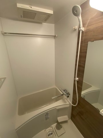 S-RESIDENCE名駅北alesiaの風呂写真
