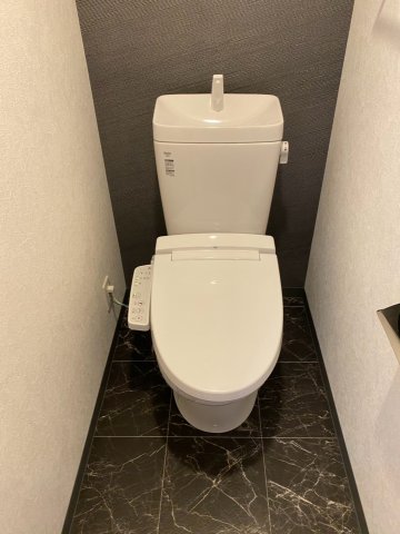 S-RESIDENCE名駅北alesiaのトイレ写真