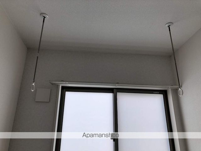 Rosa rossaのその他写真